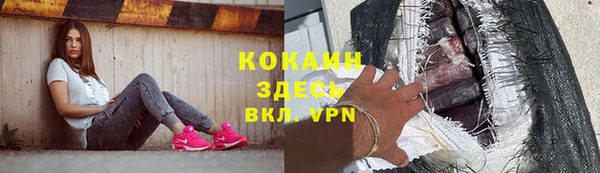 индика Белоозёрский