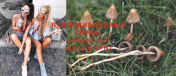 индика Белоозёрский