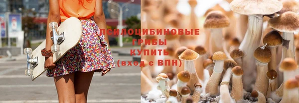 шишки Беломорск