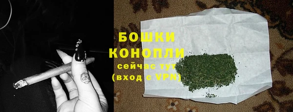 индика Белоозёрский