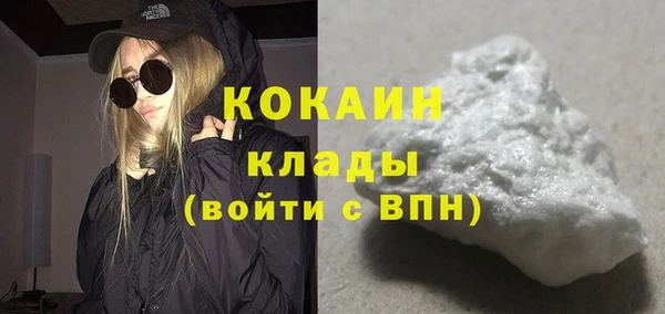 шишки Беломорск