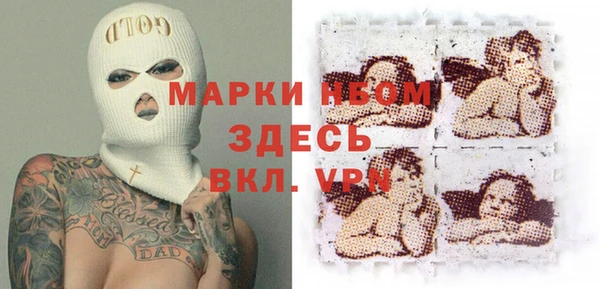 шишки Беломорск