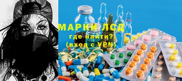 шишки Беломорск