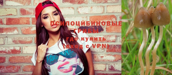 шишки Беломорск