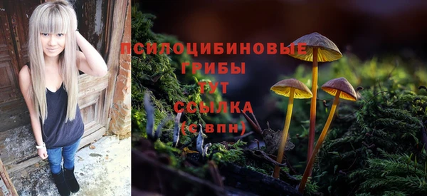 индика Белоозёрский