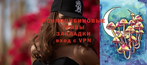 шишки Беломорск